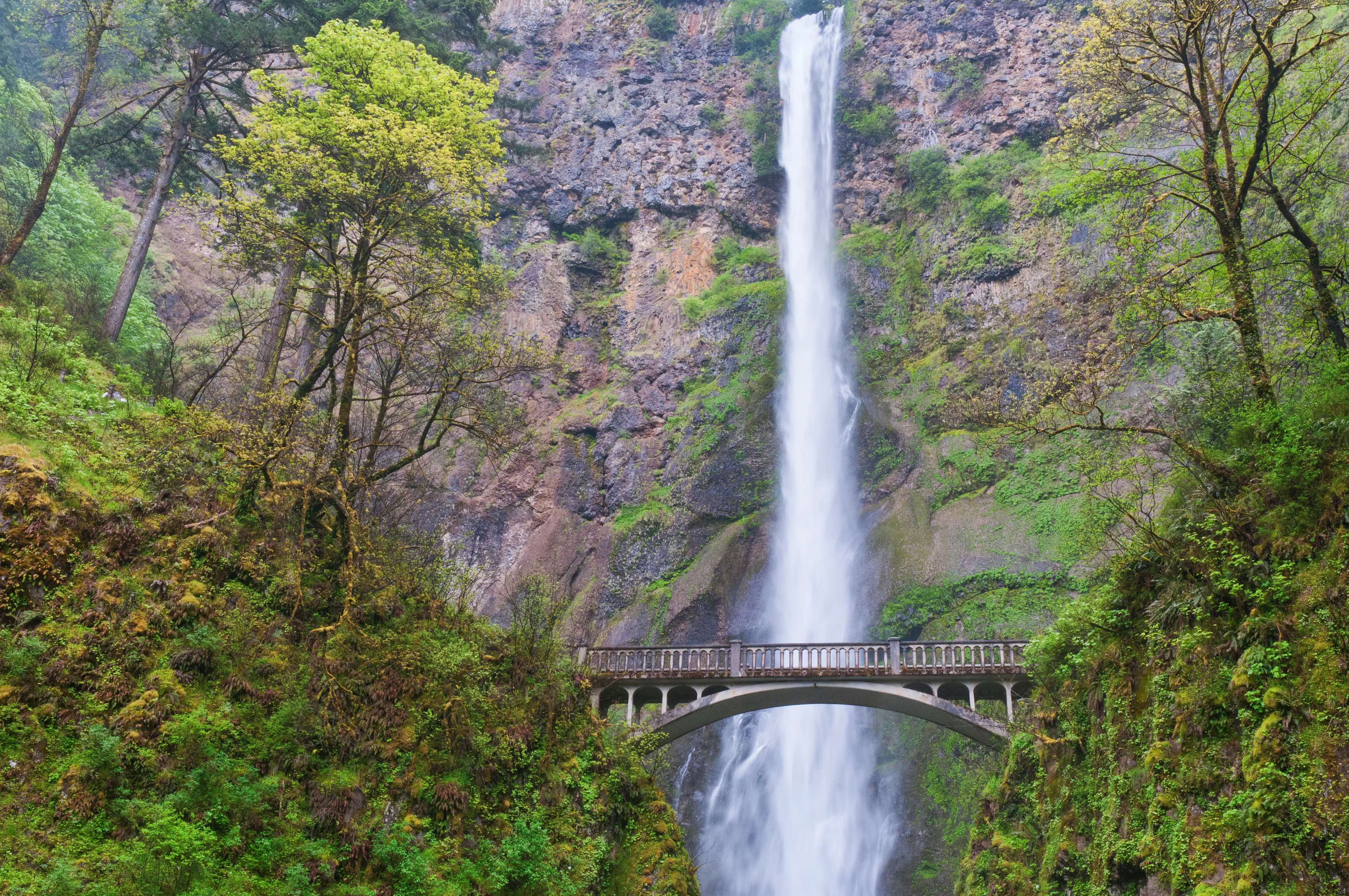 Multnomah Falls near Troutdale Oregon