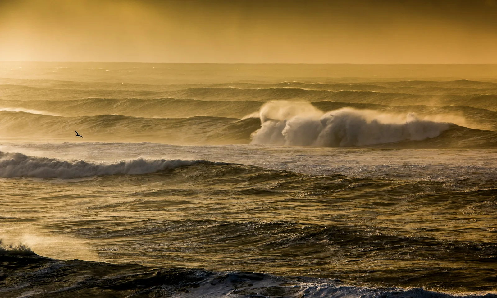 Salishan Spit waves near Lincoln City Oregon