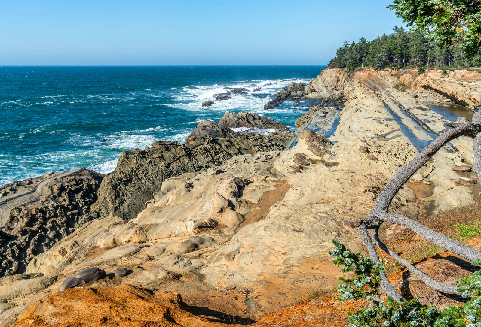 North Bend Oregon coastal view